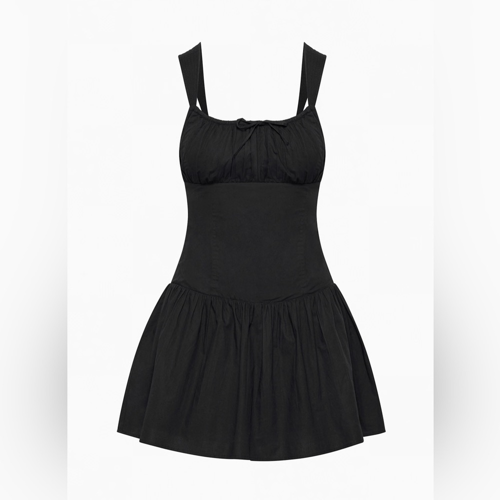 Aritzia Strudel Poplin Dress